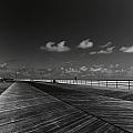 Summer Noir