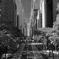 Tudor Bridge NYC